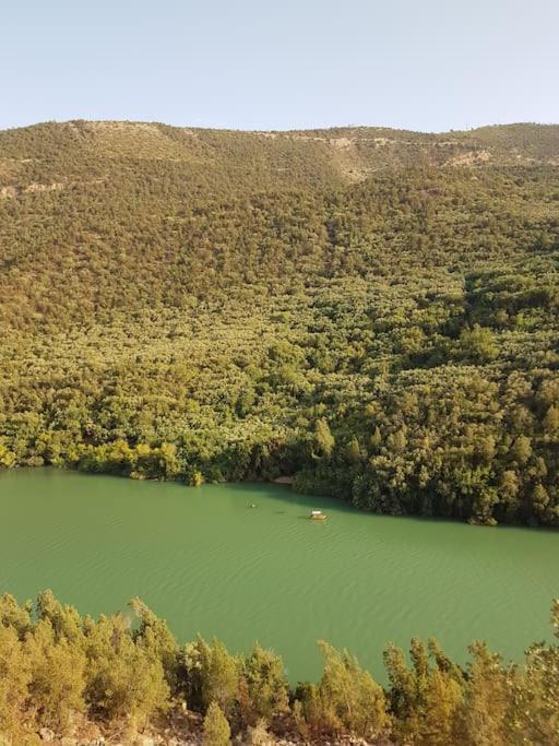 Le Figuier Du Lac Bin Elouidane Eksteriør bilde